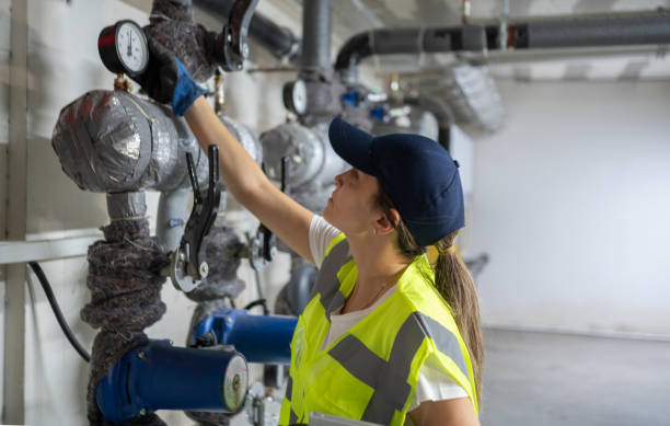 Best Plumbing Inspection Services  in Elmo, TX
