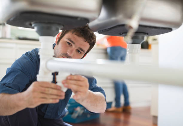 Best Local Plumber Services  in Elmo, TX